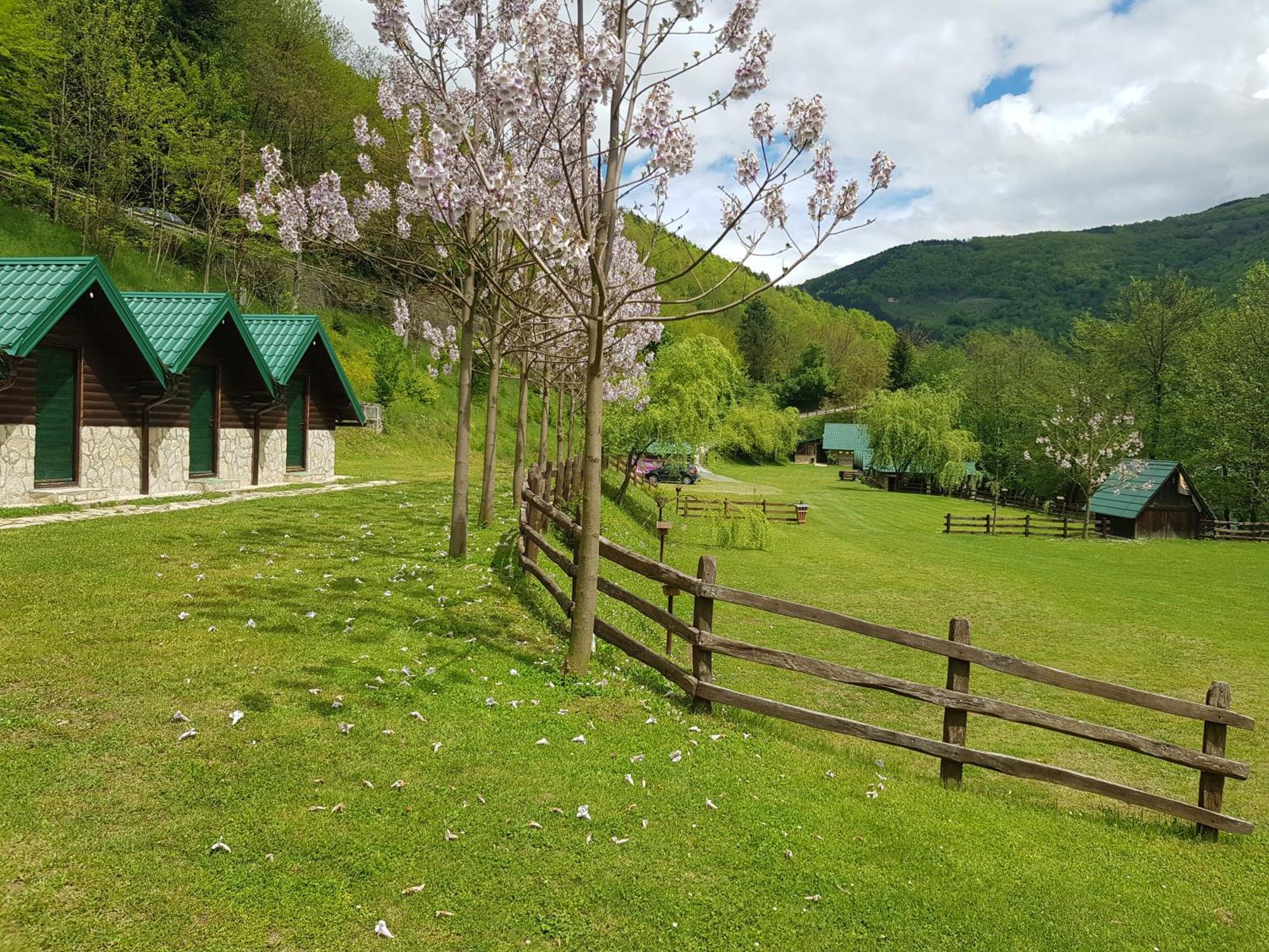 Camping Drina Foca Zewnętrze zdjęcie